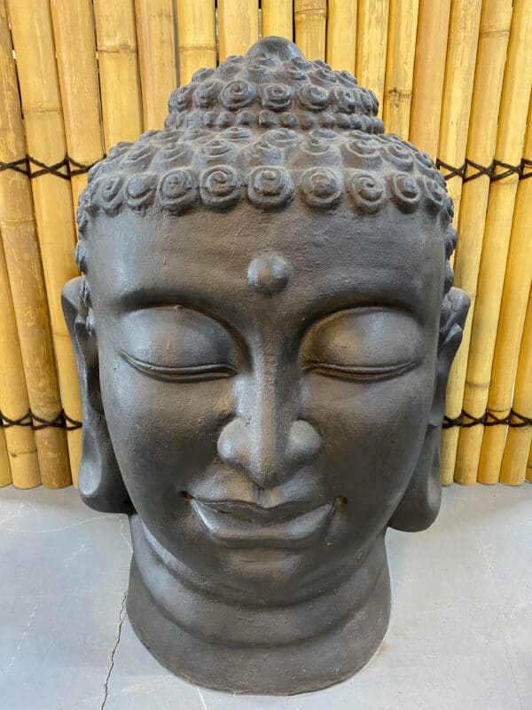Buddha hoofd - Afbeelding 2
