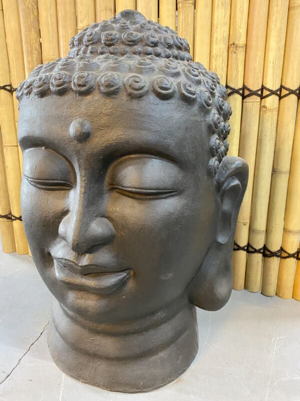 Buddha hoofd - Afbeelding 4